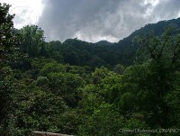 /album/ecosistemas-de-mexico1/cd0101-chiapas-jpg/
